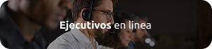 Ejecutivos en Línea
